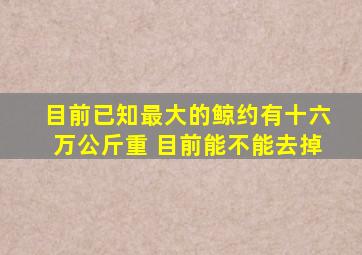 目前已知最大的鲸约有十六万公斤重 目前能不能去掉